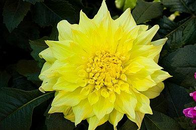 国产游戏《失落之魂》全新预告 阿瑞纳之力展示